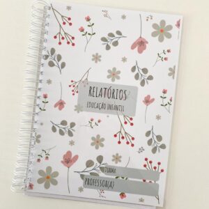 Relatórios de desenvolvimento Educação Infantil