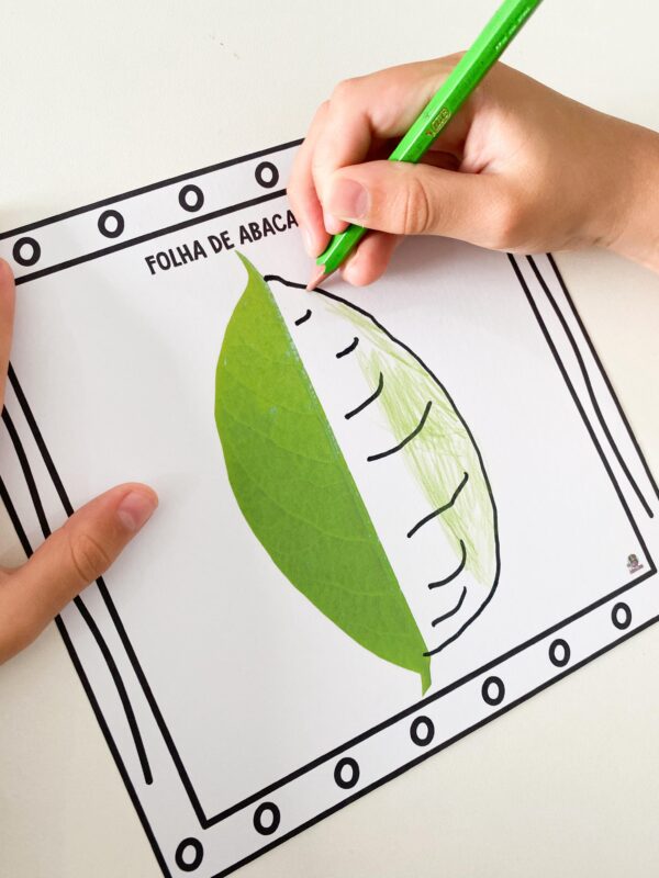POMAR – Folhas Frutíferas e Criatividade - Imagem 4
