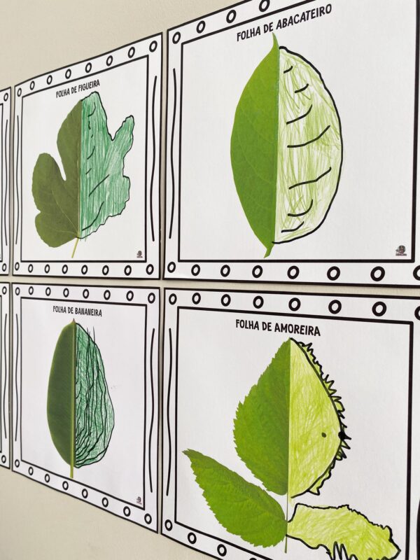 POMAR – Folhas Frutíferas e Criatividade - Imagem 8
