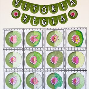 Quadrinho Vitória-régia (simetria)