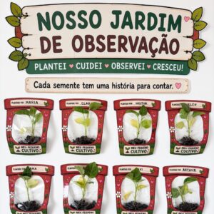 Projeto Plantar - MEU PEQUENO CULTIVO