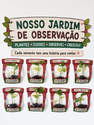 Projeto Plantar - MEU PEQUENO CULTIVO
