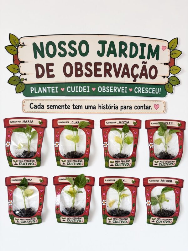 Projeto Plantar - MEU PEQUENO CULTIVO